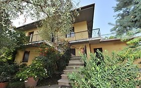 Gli Olivi